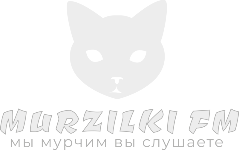 MURZILKI FM